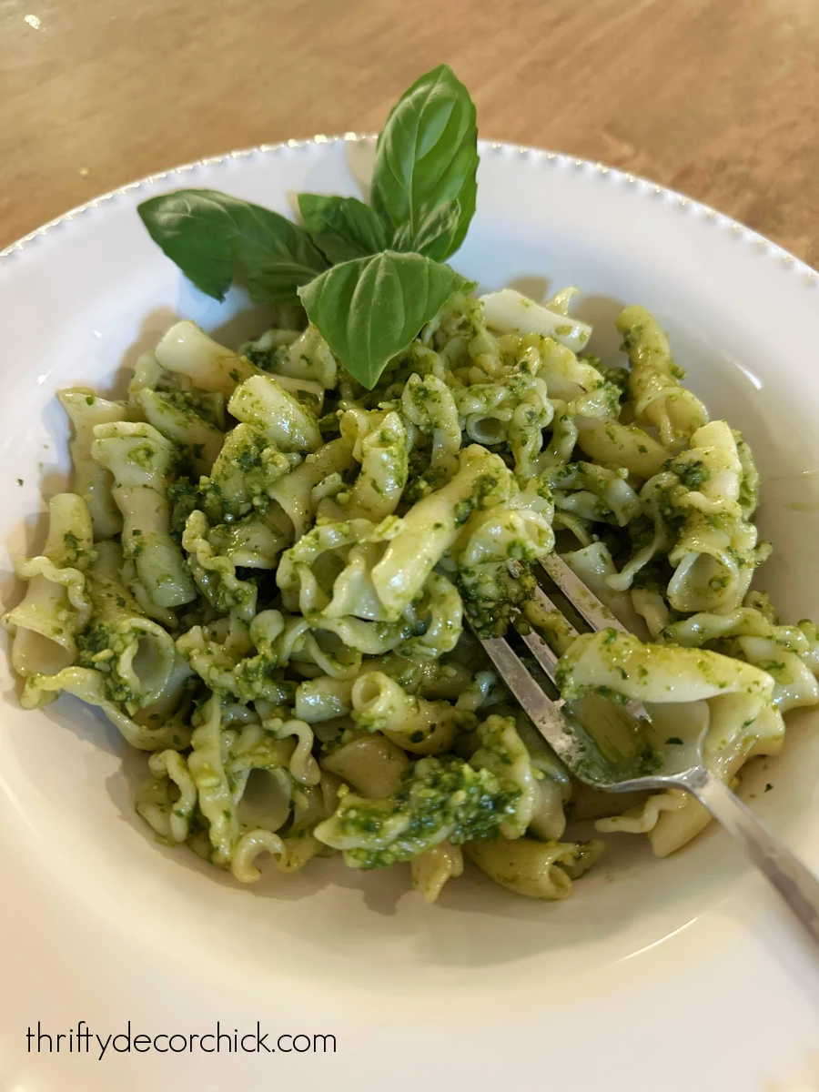 quick pesto pasta recipe